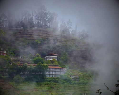 Kodai